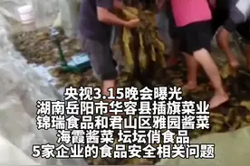“土坑酸菜”后续：市场监管总局要求彻查严处，涉事企业连夜查封，康师傅道歉视频封面