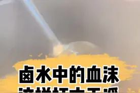 很多人反馈，卤肉腥味重，一直找不到什么原因，其实卤水中的血沫多了就是元凶之一，怎么才打得干净？#卤味