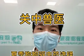 夏季狗狗驱虫药选择#狗狗驱虫 #狗体外寄生虫 @DOU+小助手 #dou是知识点视频封面