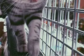 好男人在外人面前VS在老婆面前的样子～