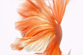 钉 播 修改班级群头像啦，漫威班级来了