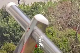 哈士奇拉着主人在小区飞奔。网友：终究还是干上了老本行…视频封面