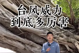 你还记得莫兰蒂吗？让整个厦门人一夜未眠#旅行大玩家 #导游来了 #五一超会玩计划