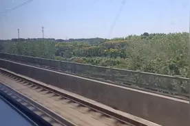 你喜欢的车新广播