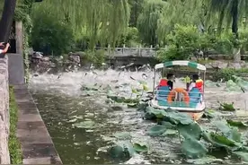 济南大明湖中的数百条鱼突然跃出水面落进游船，目击者：船里大概跳进去了20多条鱼视频封面