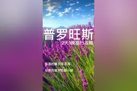 普罗旺斯，快艾特@你爱的人一起来看薰衣草吧！ #治愈系风景 #旅行推荐官 #抖音看世界 #浪漫 #创作灵感 #旅游攻略 #海外旅行 #普罗旺斯 #薰衣草 #旅行 #带ta去旅行视频封面