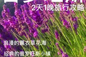 普罗旺斯，快艾特@你爱的人一起来看薰衣草吧！ #治愈系风景 #旅行推荐官 #抖音看世界 #浪漫 #创作灵感 #旅游攻略 #海外旅行 #普罗旺斯 #薰衣草 #旅行 #带ta去旅行视频封面