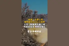 “鸡苗”头部公司晓鸣股份拉20cm涨停。公司：财报有在建工程“鸡舍会变多，规模会增长”视频封面