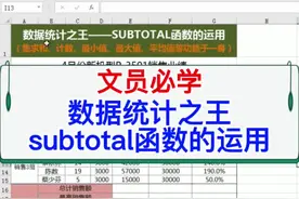 文员必学：数据统计之王subtotal函数的运用。#excel #office #wps #电脑 #办公技巧 #教程 #办公室
