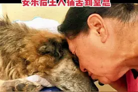 16岁的狗狗ai细胞全身扩散，狗狗痛苦不已，主人同意把狗狗安乐后，主人懊恼不已，痛苦到窒息#万物皆有灵性请善待 视频封面