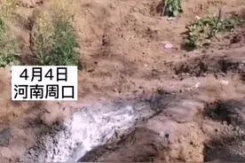 4月4日河南周口，独居老人住所被熊孩子破坏，面粉撒了一地，锅碗瓢盆乱扔！视频封面