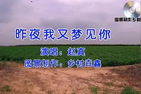 乡村田园风光无限好#音画欣赏 #老歌推荐100首 #田间地头视频封面