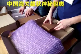 中国海关截获来自美国的神秘包裹！#中国海关好样的视频封面