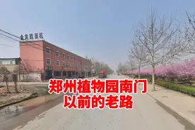 郑州西四环陇海西路，植物园南门，以前的这条老路。#老郑州视频封面