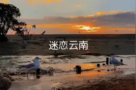 云南凭什么让人念念不忘？为什么是一个百去不厌的地方？视频封面