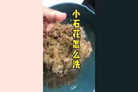 有小伙伴在问，小石花怎么清洗，我建议就这样子洗，强迫症患者不要用小石花做石花膏#石花膏 #海石花#石花草视频封面