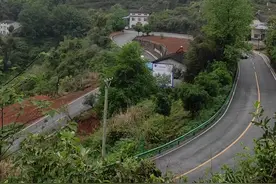 #大别山 #货车司机 #风景 #采茶视频封面
