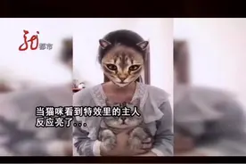 猫在特效里看见了主人变成了猫，蒙圈了！@抖音短视频视频封面