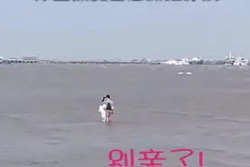 情侣不顾涨潮站海里亲热 保安着急嘶哑大喊：别亲了！涨潮了视频封面