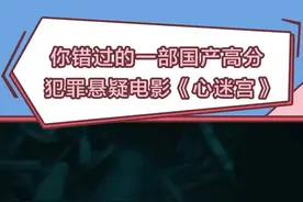 佳片推荐！#忻钰坤 导演处女作 #心迷宫 ，一部烧脑的国产悬疑电影。