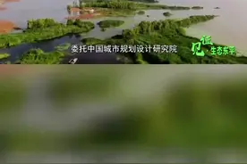 见证•生态东平 | 一湖碧水扑面来——东平湖生态环境综合整治工作纪实#新闻 #东平县融媒体中心视频封面