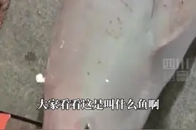 #湖南疑似有人钓起濒危江豚。11月16日线索已移交给湘阴县公安局，岳阳江豚保护中心称还在确认网传信息的真实性。视频封面