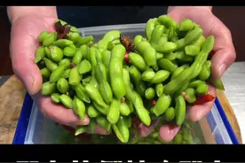 #美食教程 #毛豆 #跟着抖音学做菜 #食材新鲜才是硬道理 @抖音短视频 凉菜盐水毛豆，比例精确到克！照做即可！视频封面