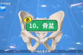了解骨盆#医学科普 #科普健康知识