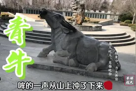 太上老君骑的青牛是如何来的？#青牛 #太上老君 #赶山鞭 #隐阳山视频封面