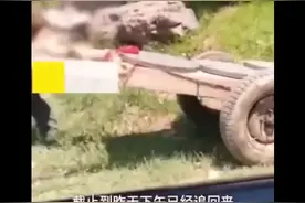 被搬走井盖已追回1800多个，当地网友给司机发红包致歉 #河南固始县半挂车侧翻，村民抢空33吨井盖引发关注视频封面