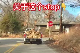 为什么美国的路上有很多stop标志？#stop #在美国 #vlog旅行记视频封面