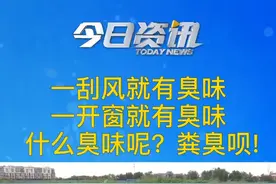 养猪场紧邻小区，猪粪随意排放臭味熏人。记者调查，监管部门为何没有办法？视频封面