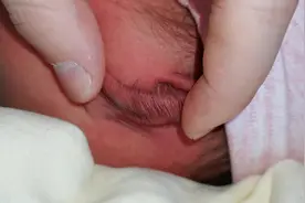 怪不得刚出生的宝宝全国上下统称“毛毛”!那么可爱的昵称