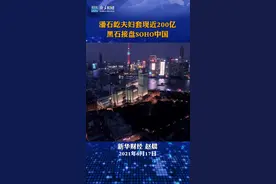 潘石屹夫妇套现近200亿 黑石接盘SOHO中国#财经  #潘石屹视频封面