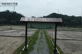 米兰教育营地农耕文化体验视频封面