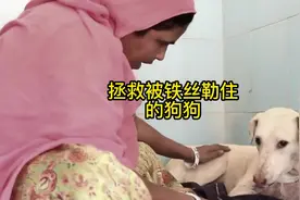 狗狗的脖子被铁丝紧紧的勒住，随时可能会发生生命危险视频封面