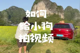 摄影比我好的养狗没有我厉害，养狗比我好的摄影没有我厉害#金毛