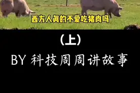 西方人真的不爱吃猪肉吗？#知识先锋计划 #科普 #科技周周 #涨知识 #猪肉 #牛肉 视频封面