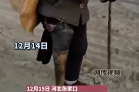 一段残疾老奶奶疑似用马腿当假肢的视频，于近日引起全网关注。官方回应：不是马腿是假肢！视频封面