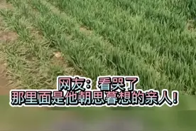 男子上坟躺到妈妈怀里陪妈妈聊天… 网友：看哭了，那里面是他朝思暮想的亲人！#上坟视频封面