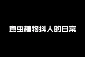日常抓只小蟑螂喂小猪笼草#猪笼草视频封面