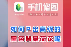 手机如何P出高级的黑色背景荷花风景照片呢 #手机修图 #snapseed  #荷花教程 #荷花@DOU+小助手视频封面