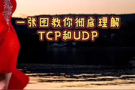 一张图让你彻底理解TCP和UDP的区别，再也不会用错了。#编程 #程序员 @抖音短视频