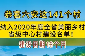 恭喜六安这141个村，纳入省级中心村建设名单！有你的家乡吗？#六安六安六安六安六安视频封面