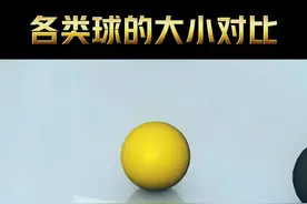 各种球的体型大小对比，有你不知道的吗？#体育 