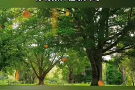 你有跟异性聊天吗，一个男人经常和你聊天，你以为真的是灵魂交流吗，#情感 #感情 #爱情 #恋爱 #男女情感 视频封面