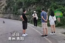 女游客车钥匙被猴子抢走，赶紧拿些吃的来换？视频封面