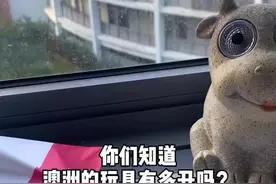 澳洲的玩具有多丑？这个丑玩具我太爱了啊！#vlog日常视频封面