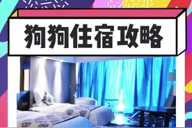 分享狗狗住宿的两个小攻略，大家还带狗狗住过什么样的房间呢？评论区来分享哦！#带着狗狗去旅行 #向往的民宿