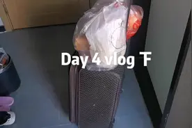 集中隔离第4天，下集，认真的讲，在“养猪🐷”这方面视频封面